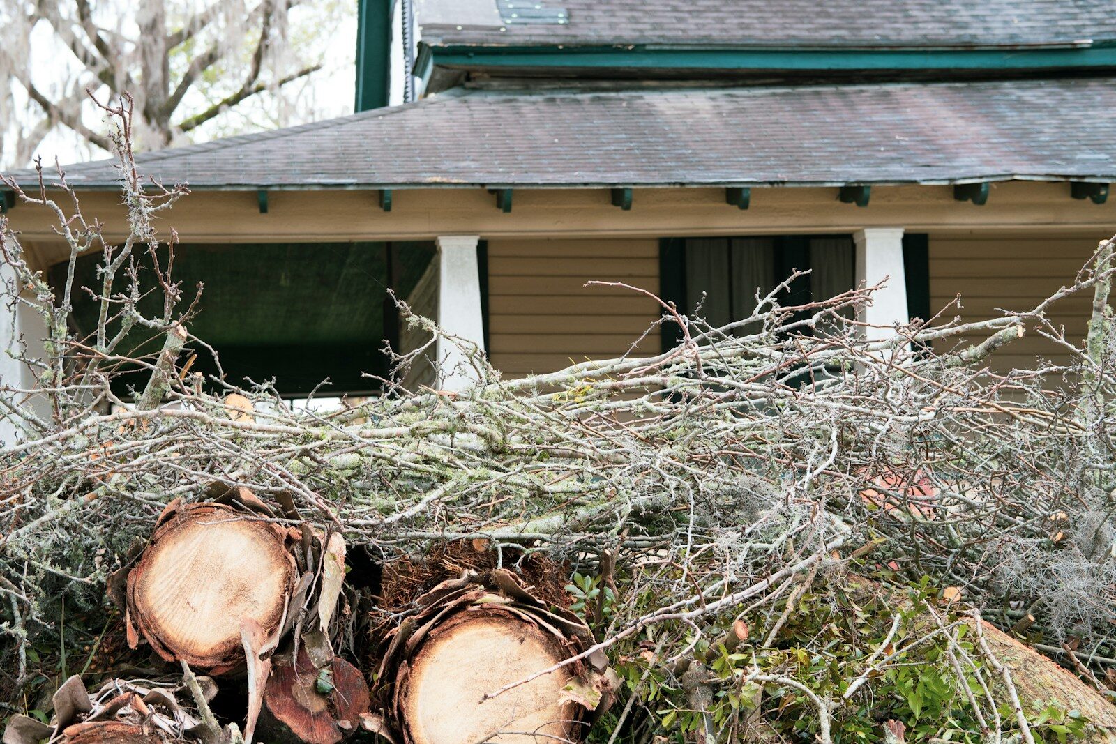 Does Your Policy Cover Fallen Trees or Landslides? What Blairsville Homeowners Should Know